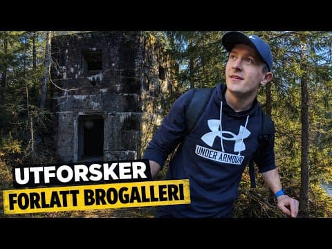 Miniatyrbilde for Forlatt brogalleri